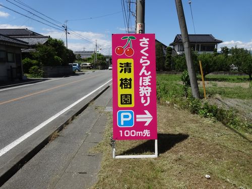 清樹園駐車場への案内看板１